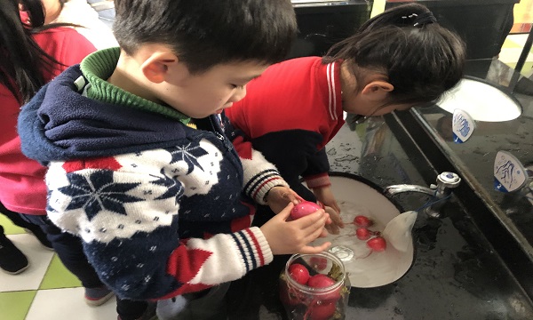 QQ图片20190327131826.jpg