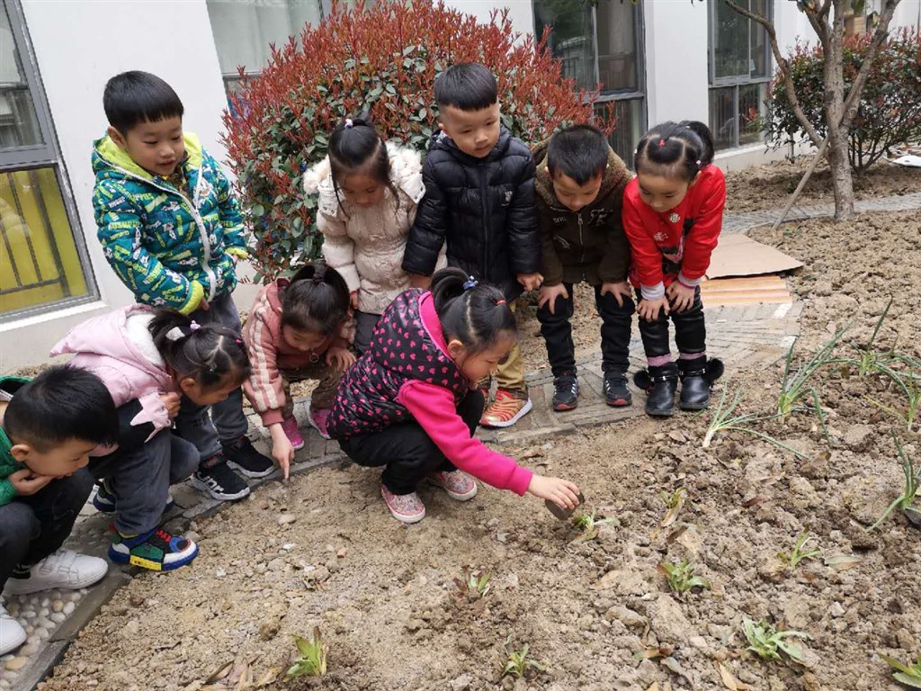 种植区1.jpg