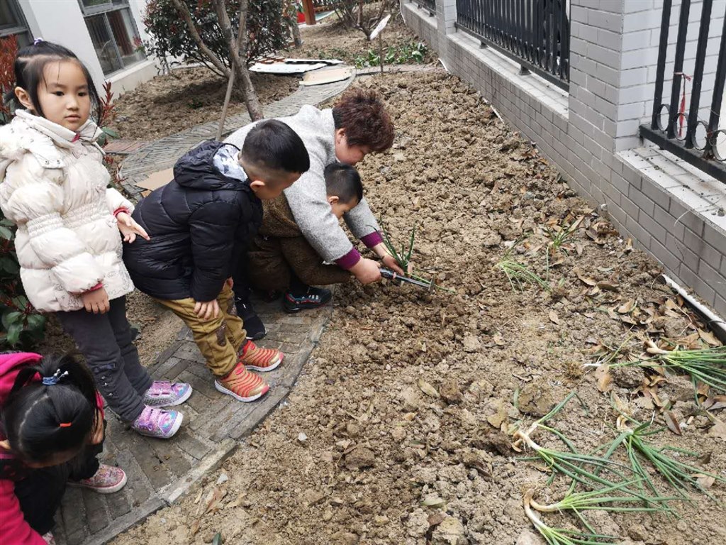种植区2.jpg