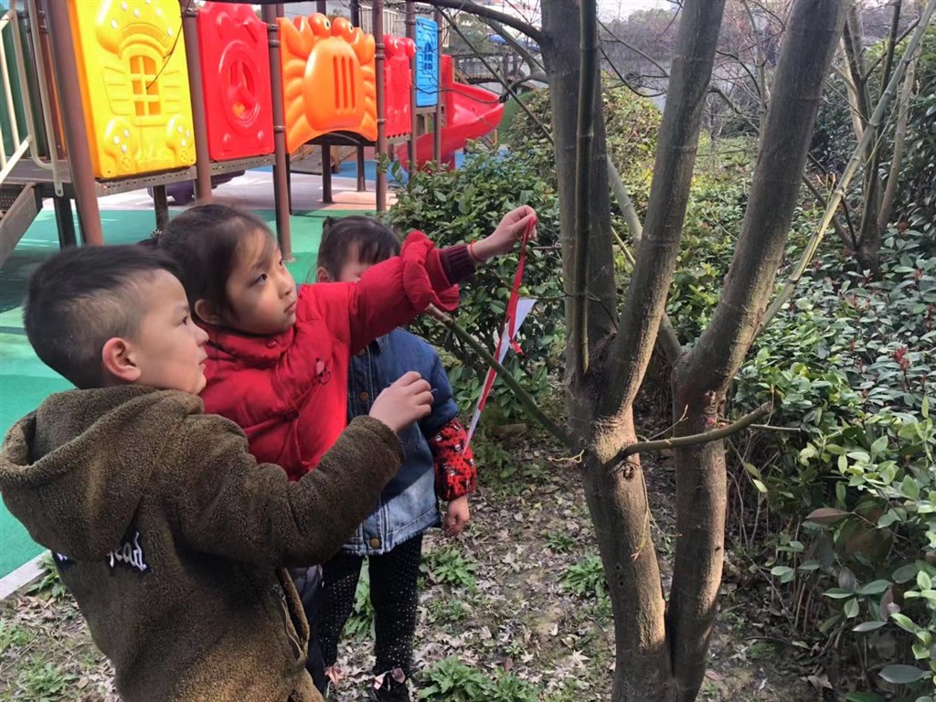 植树3.jpg