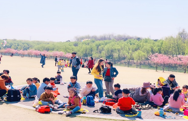 IMG_2892.png IMG_2892.png