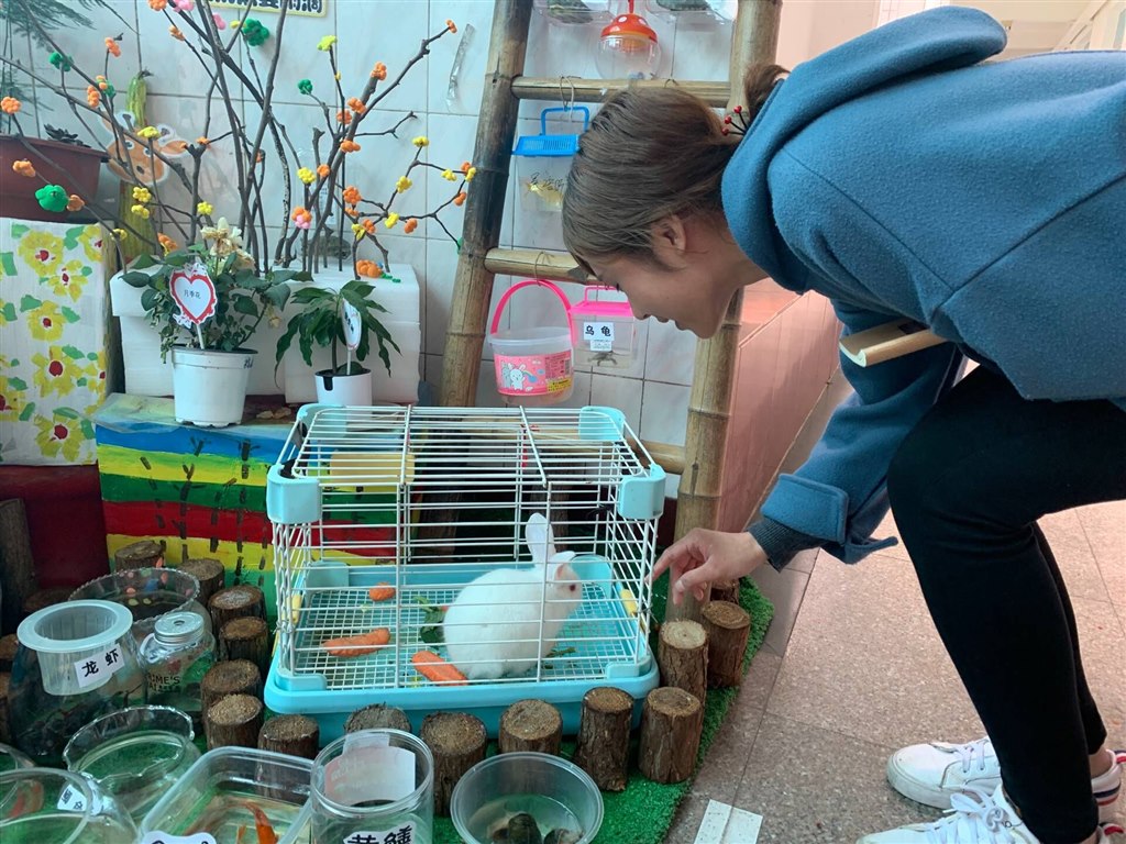 4QQ图片20190329140331.jpg