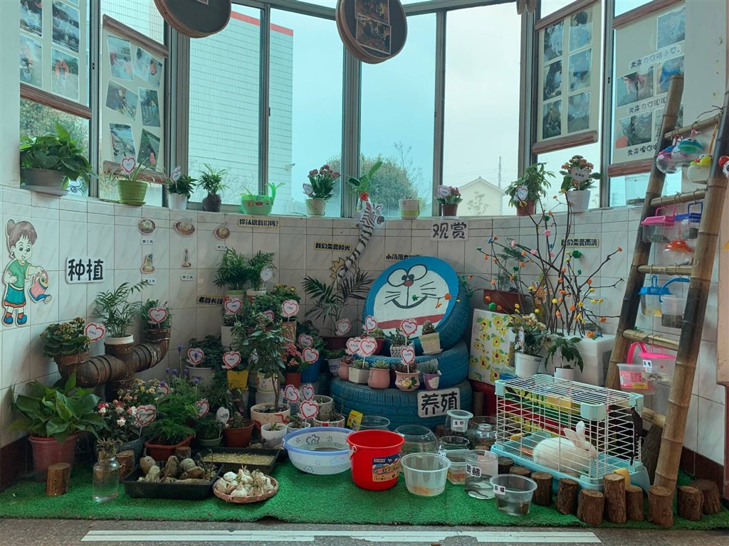 8QQ图片20190329140326.jpg