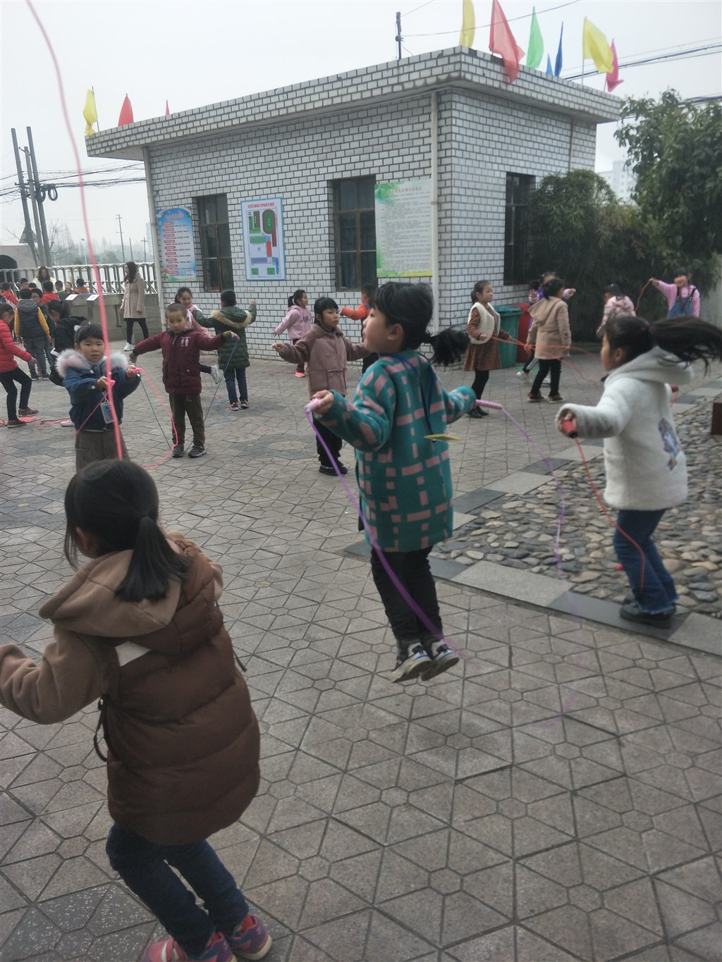 IMG20190319082609.jpg