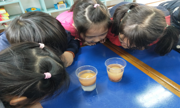 IMG20190328103951_副本.jpg