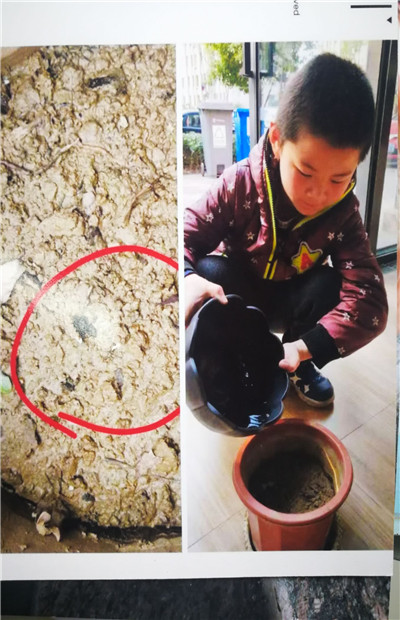 QQ图片20190402120745_副本.jpg