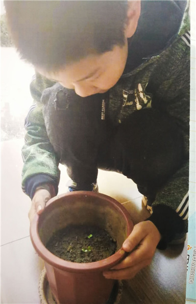 QQ图片20190402120712_副本.jpg