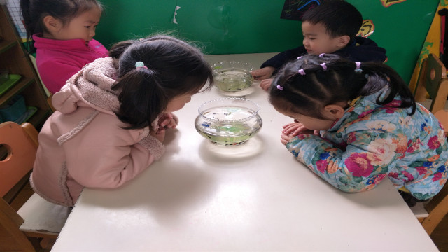 IMG20190404082215.jpg