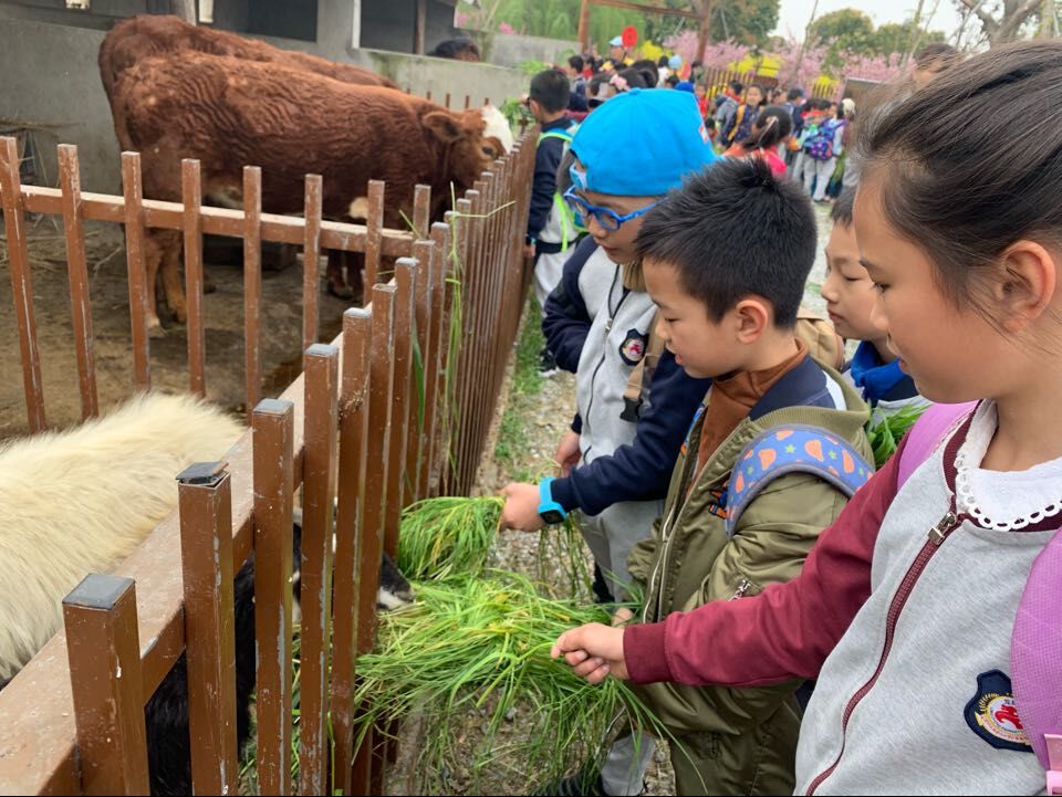 QQ图片20190403163619.jpg