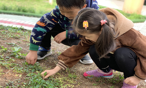 QQ图片20190404095656.jpg