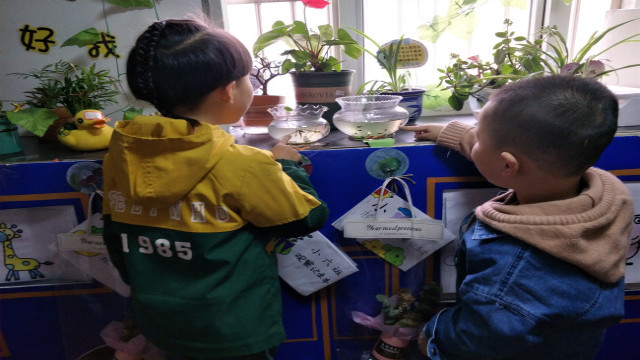 IMG20190404082433.jpg