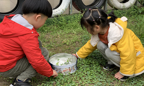 QQ图片20190404095708.jpg