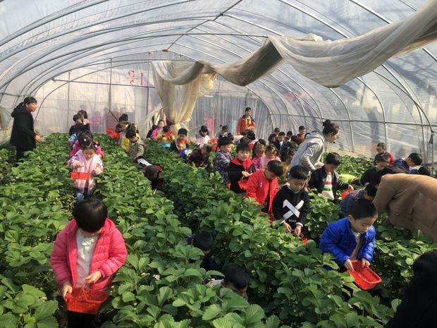 QQ图片20190406164126.jpg QQ图片20190406164126.jpg