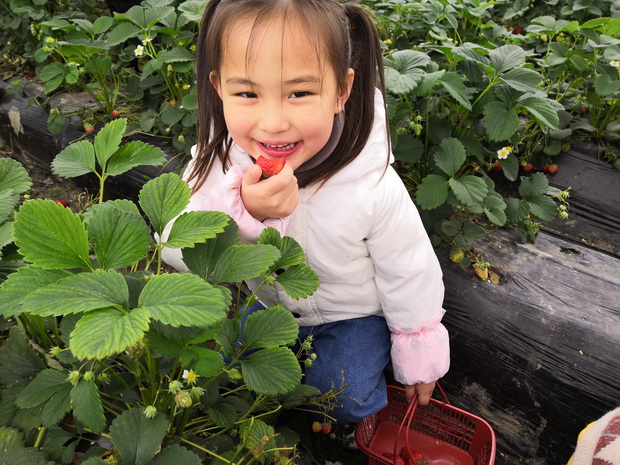 4-3_调整大小.jpg 4-3_调整大小.jpg