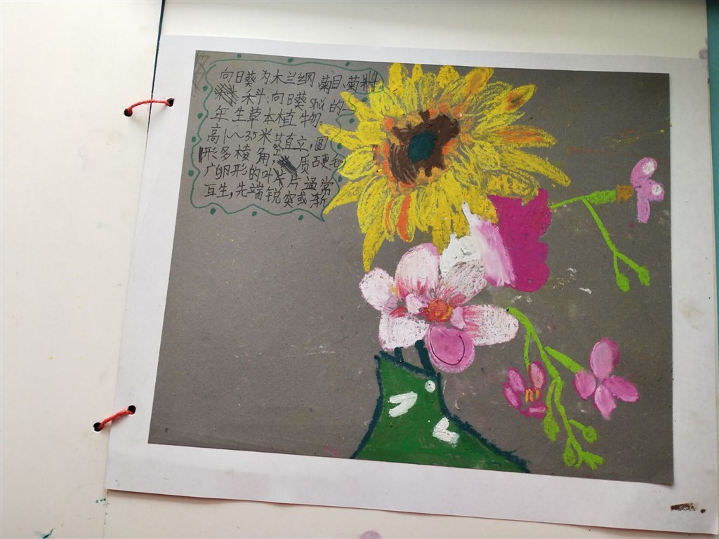 QQ图片20190413134857.jpg