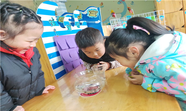 QQ图片20190416133930_副本.jpg