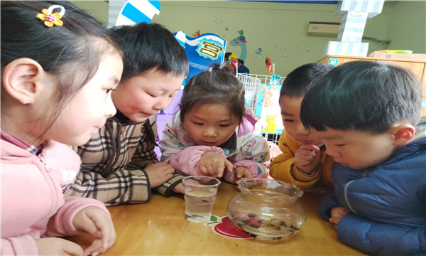 QQ图片20190416133922_副本.jpg