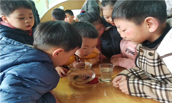 QQ图片20190416133934_副本.jpg