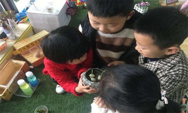 QQ图片20190418124529.jpg