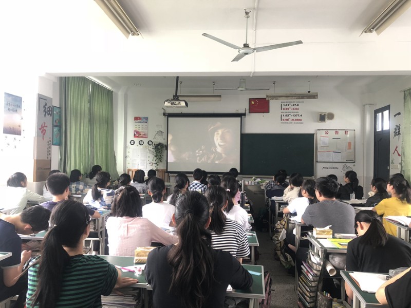 香港宝宝典资料大全