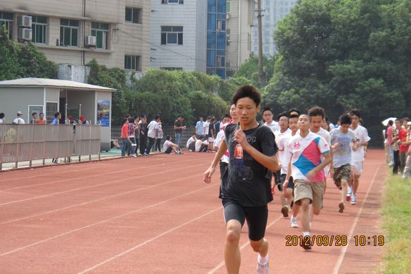 香港宝宝典资料大全