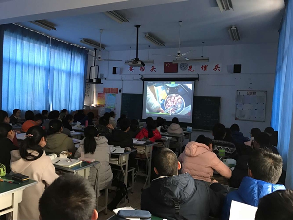 香港宝宝典资料大全