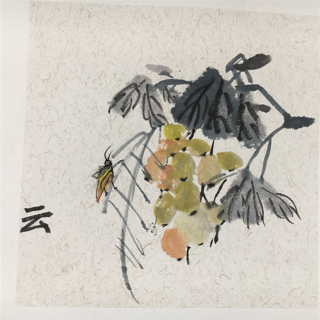 丰收  范晓芸.JPG
