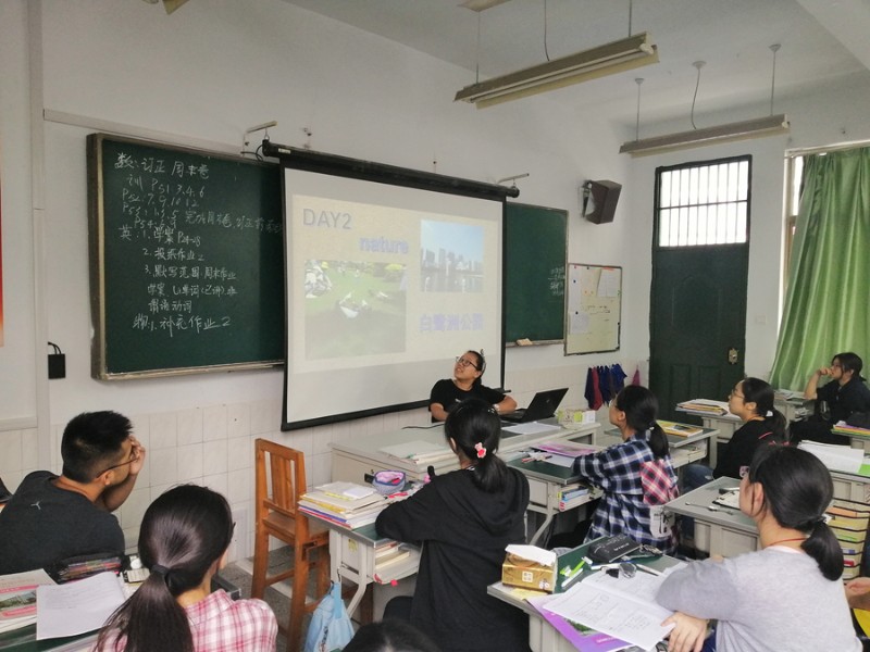 香港宝宝典资料大全