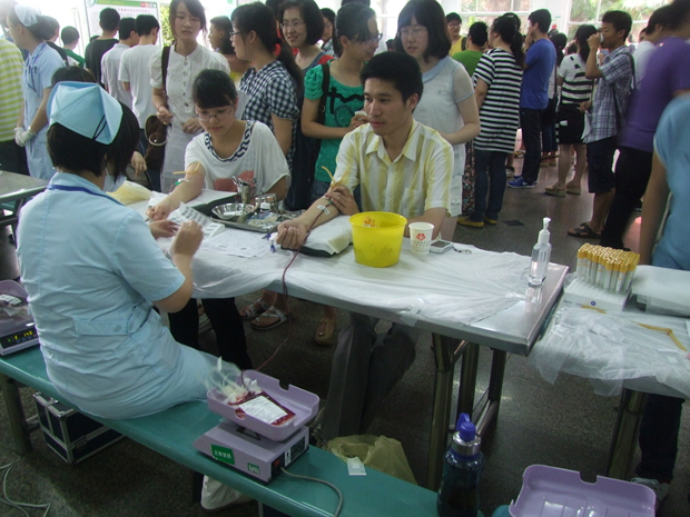 香港宝宝典资料大全