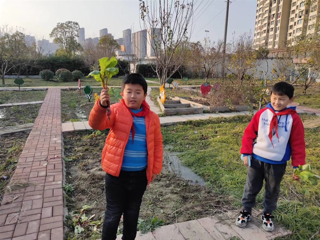 农场3.jpg