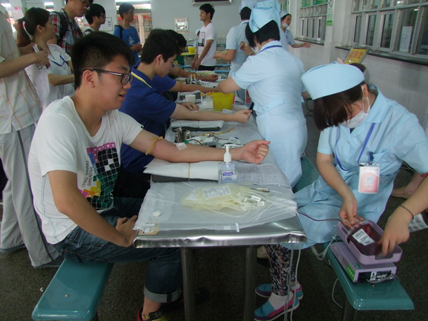 香港宝宝典资料大全