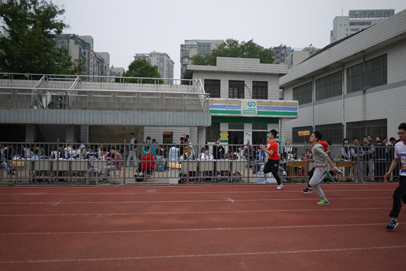 香港宝宝典资料大全