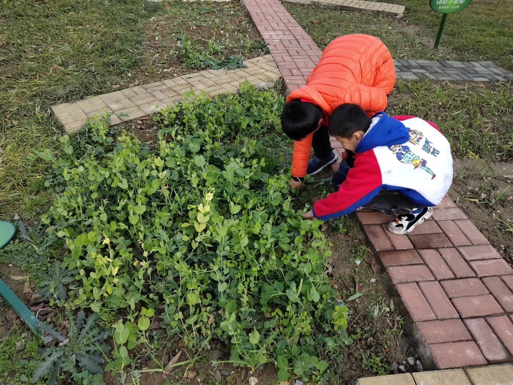 农场4.jpg