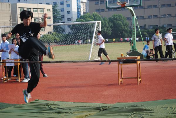 香港宝宝典资料大全