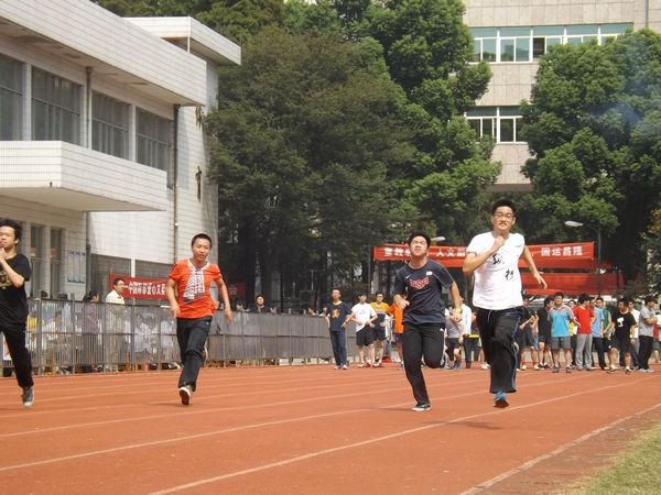 香港宝宝典资料大全