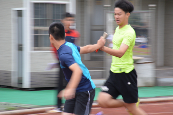 香港宝宝典资料大全