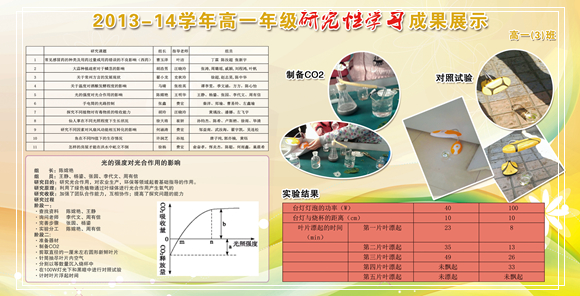 香港宝宝典资料大全