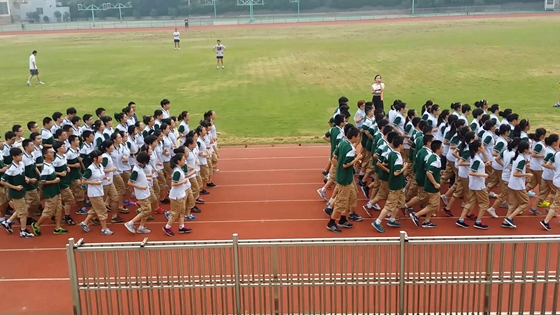 香港宝宝典资料大全