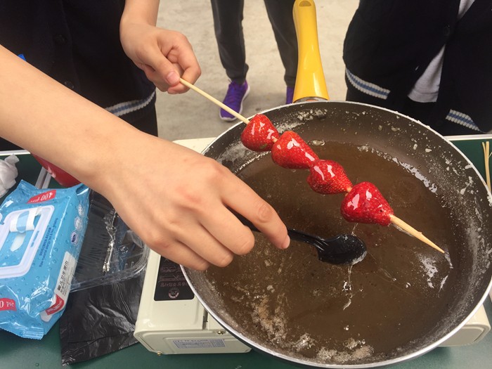 香港宝宝典资料大全