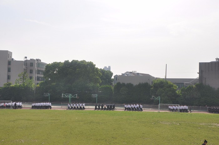 香港宝宝典资料大全