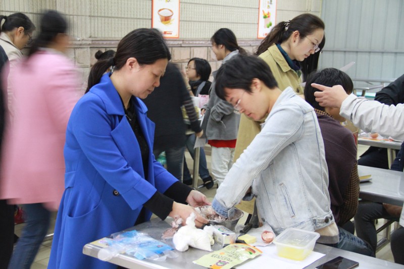 香港宝宝典资料大全