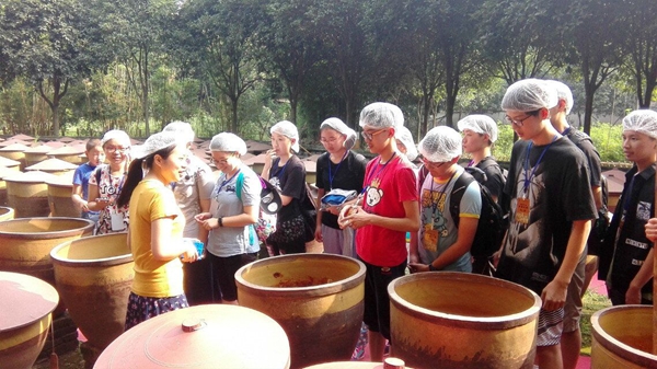 香港宝宝典资料大全