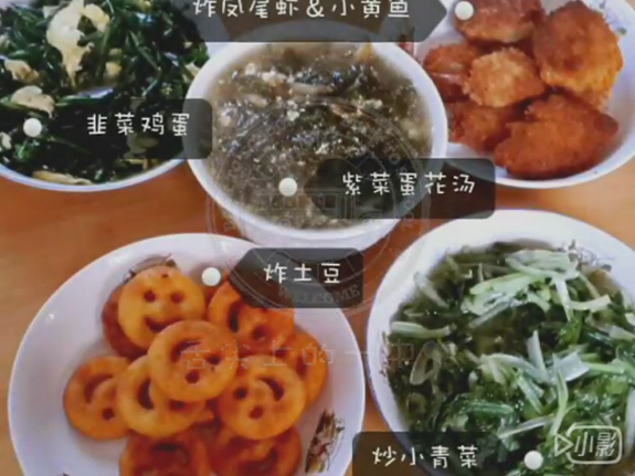 香港宝宝典资料大全