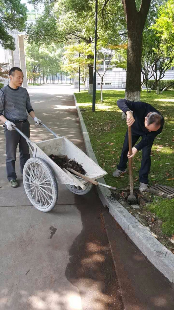 香港宝宝典资料大全