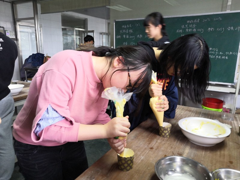 香港宝宝典资料大全