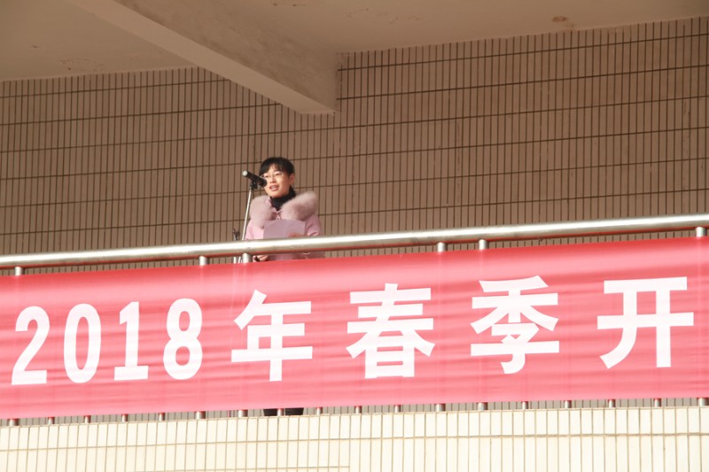 香港宝宝典资料大全