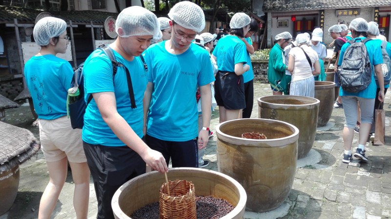 香港宝宝典资料大全