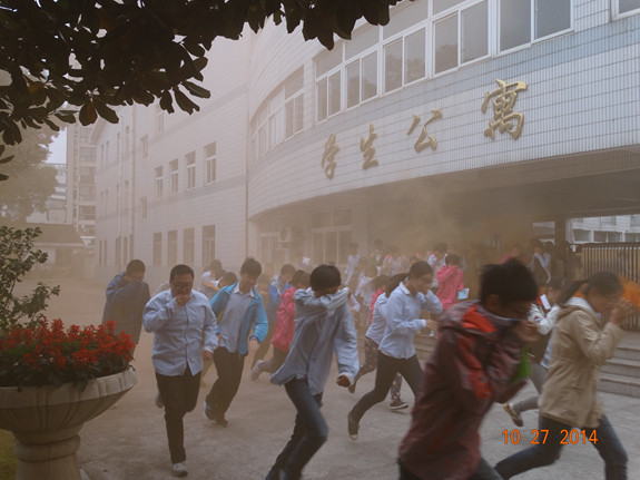 香港宝宝典资料大全