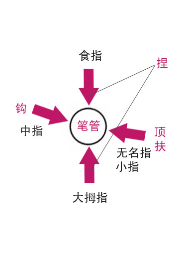 香港宝宝典资料大全