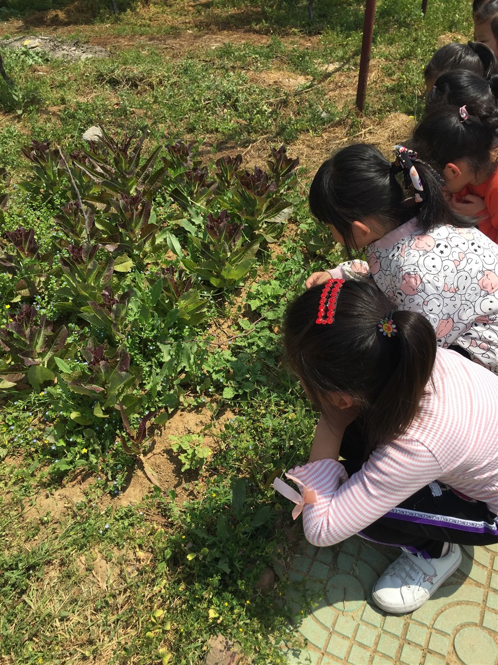 QQ图片20190418164630.jpg